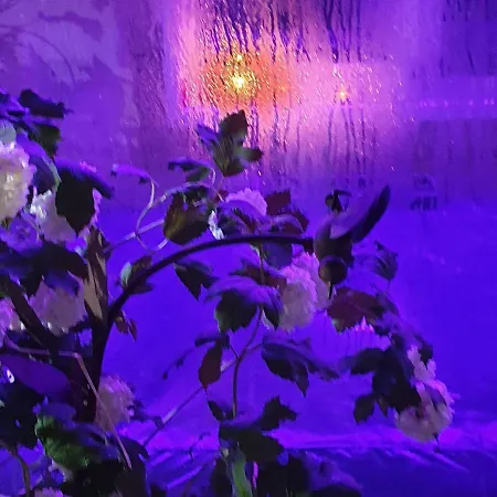 Coeurs De Thierache Sejour Cocooning Et Romantique * Le Nouvion-en-Thierache